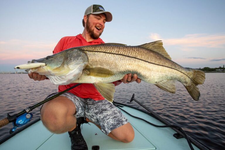 Best Bait For Florida Canals: A Guide For Successful Fishing