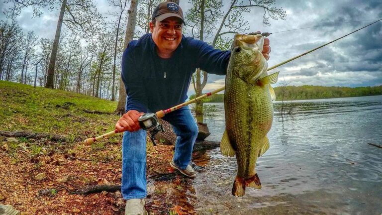 Find Nearby Bass Fishing Spots: Where Can I Fish For Bass Near Me?