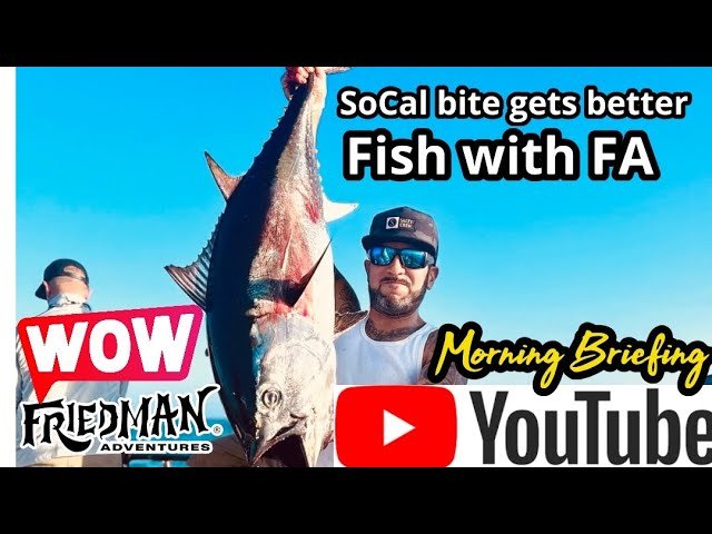 Morning Magic: Why It’S Better To Fish In The Am
